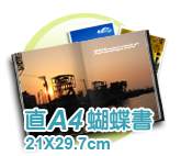 直A4薄版蝴蝶書